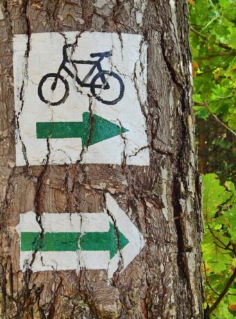 forest bicycle route tourism 3735741